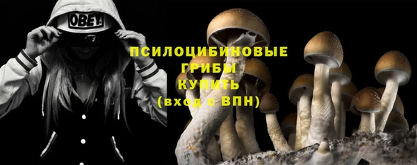 apvp Алзамай