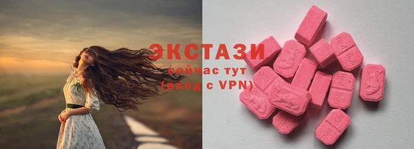 apvp Алзамай