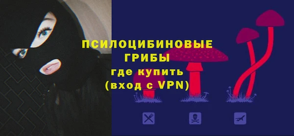 первитин Алексин