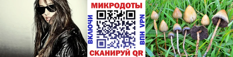 наркотики  Биробиджан  hydra ТОР  Галлюциногенные грибы прущие грибы 